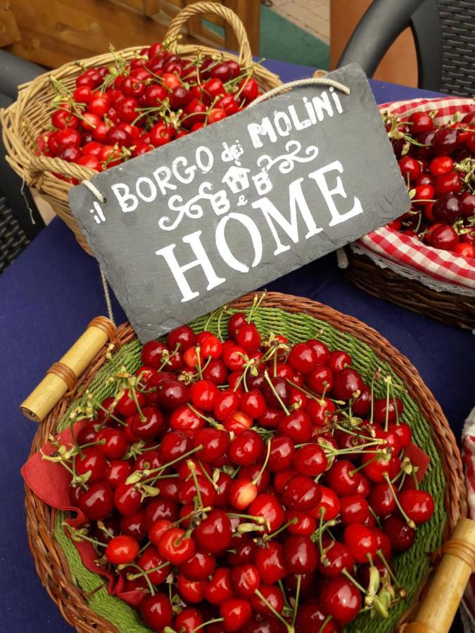 TorregliaIl Borgo Dei Molini住宿加早餐旅馆 外观 照片