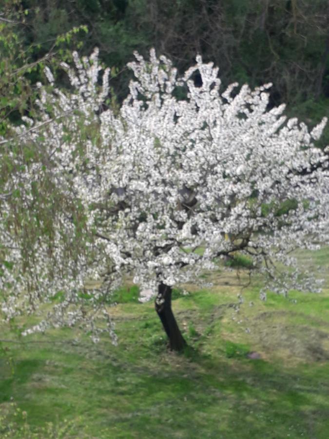 TorregliaIl Borgo Dei Molini住宿加早餐旅馆 外观 照片