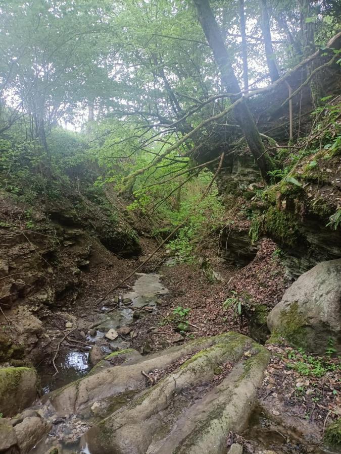TorregliaIl Borgo Dei Molini住宿加早餐旅馆 外观 照片