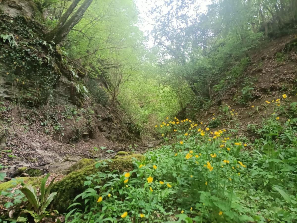 TorregliaIl Borgo Dei Molini住宿加早餐旅馆 外观 照片
